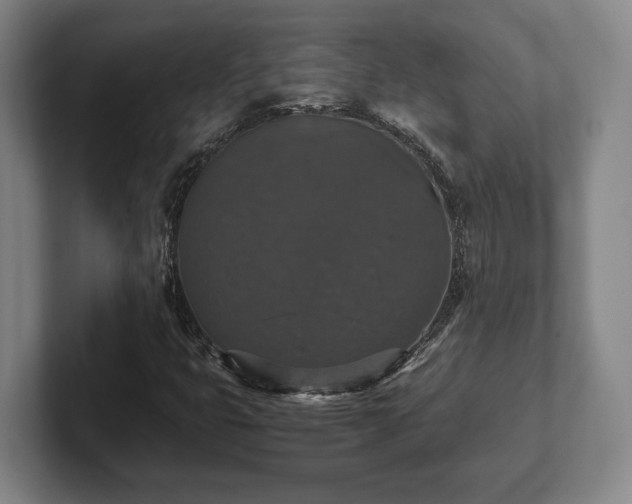 X0000102521399200808151522