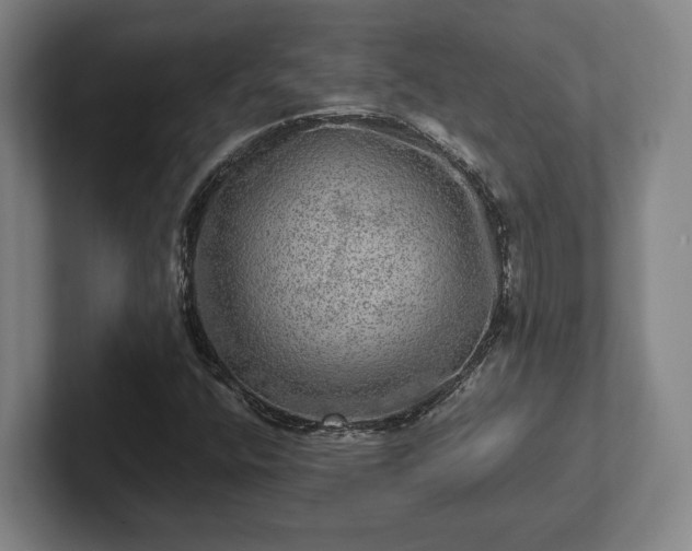 X0000102521400200808151522