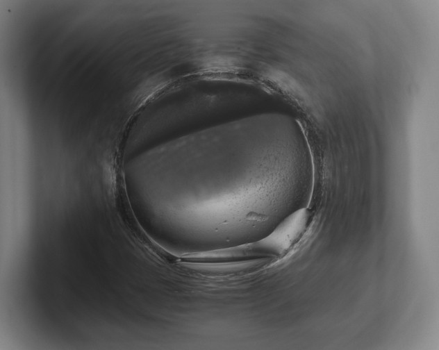 X0000102521401200808151522