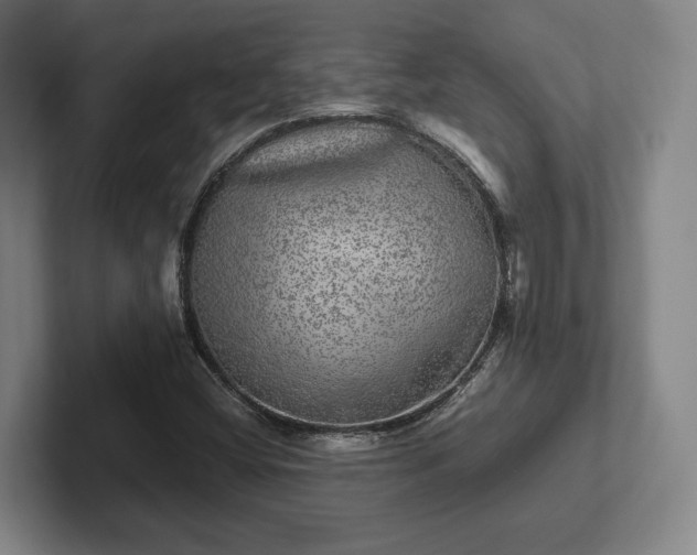 X0000102521404200808151522