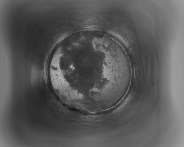 X0000102521405200808151522