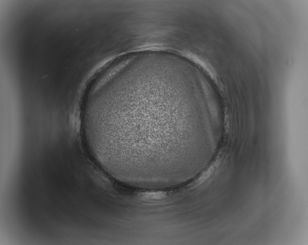 X0000102521406200808151522