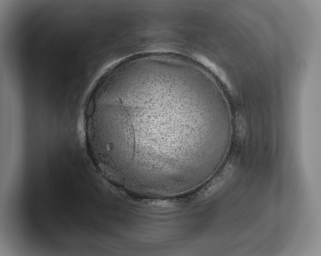 X0000102521408200808151522