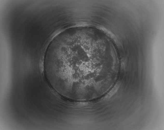 X0000102521409200808151522