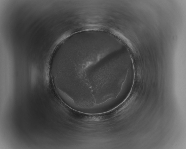 X0000102521411200808151523