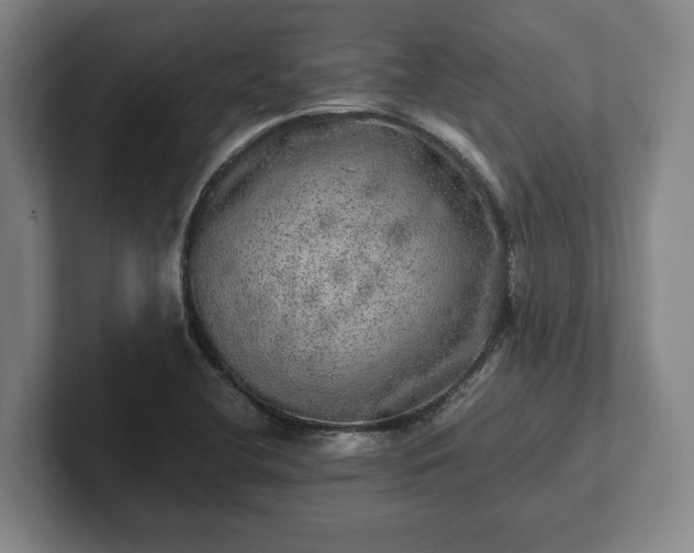 X0000102521412200808151523