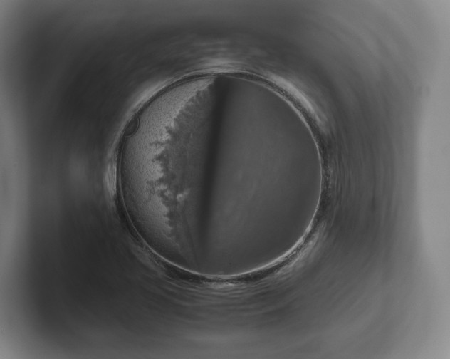 X0000102521413200808151523