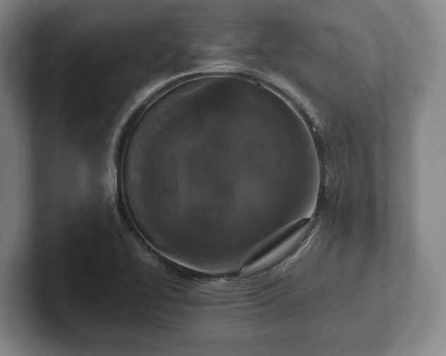 X0000102521414200808151523