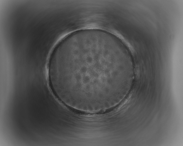 X0000102521416200808151523