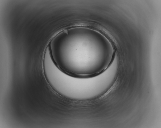 X0000102521417200808151523