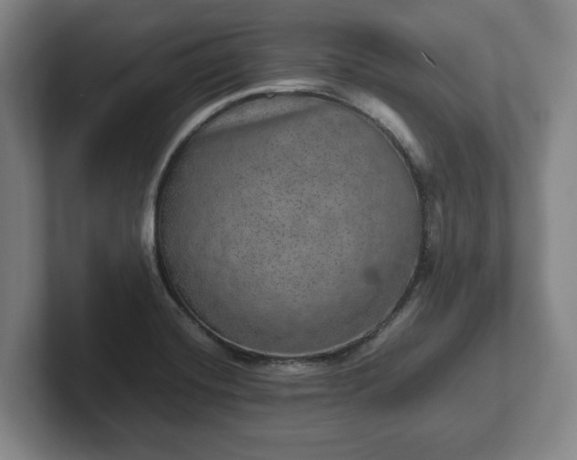 X0000102521420200808151523