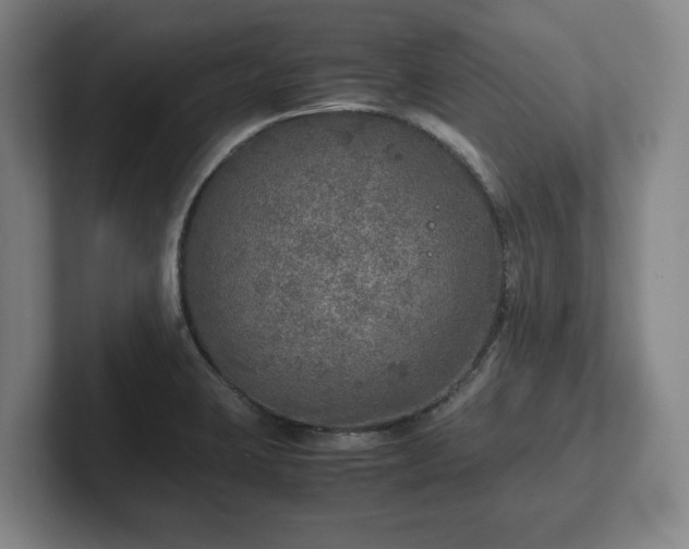 X0000102521423200808151523