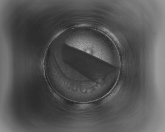 X0000102521425200808151523