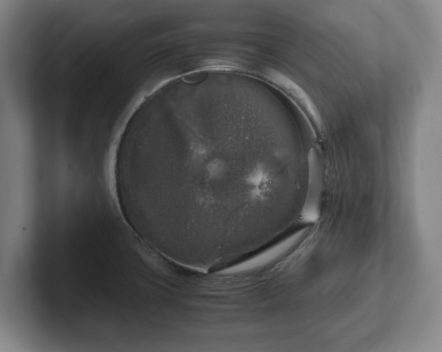 X0000102521427200808151523