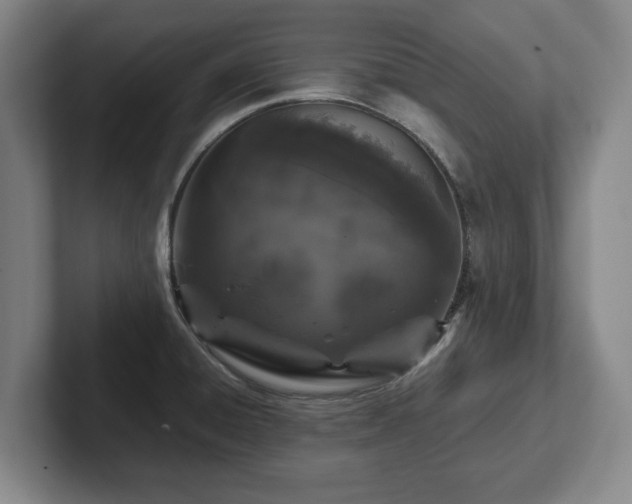 X0000102521428200808151523