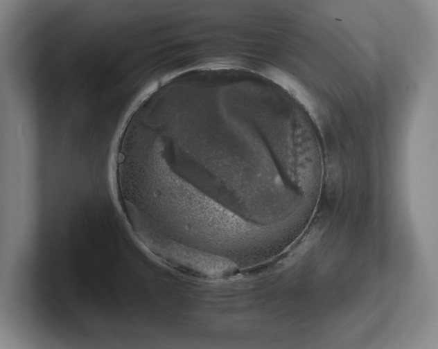 X0000102521429200808151523