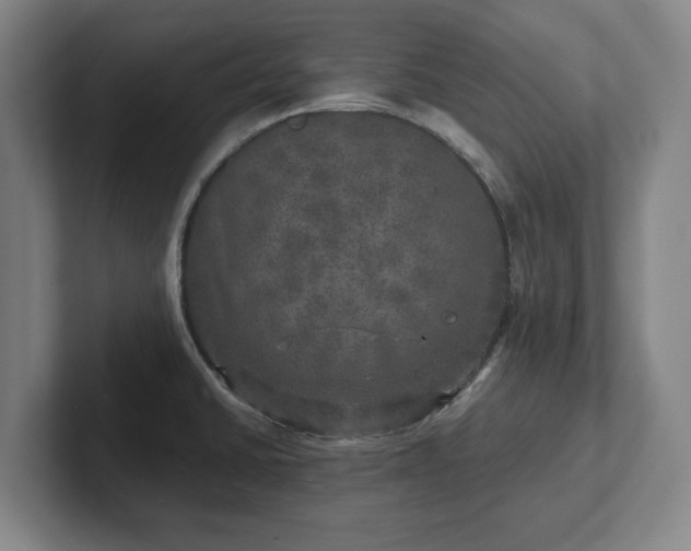 X0000102521430200808151523