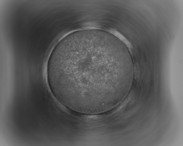 X0000102521431200808151523