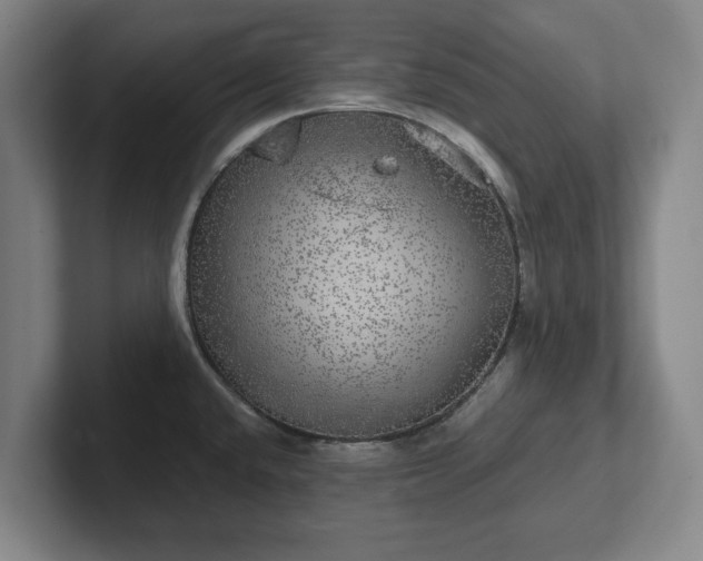 X0000102521432200808151523