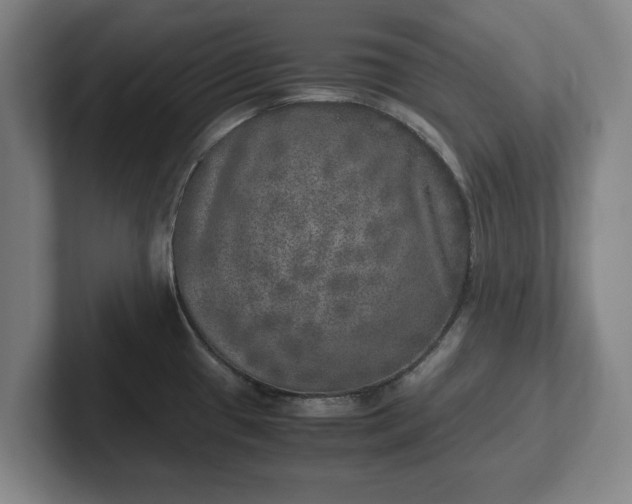 X0000102521433200808151523