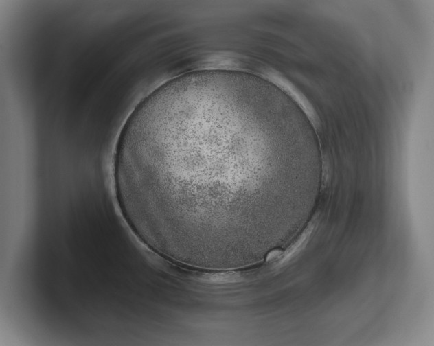 X0000102521434200808151523