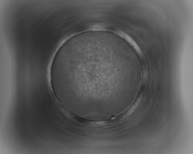 X0000102521435200808151523