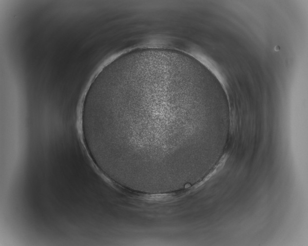 X0000102521437200808151523