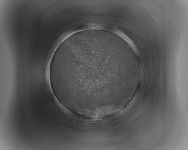 X0000102521439200808151523