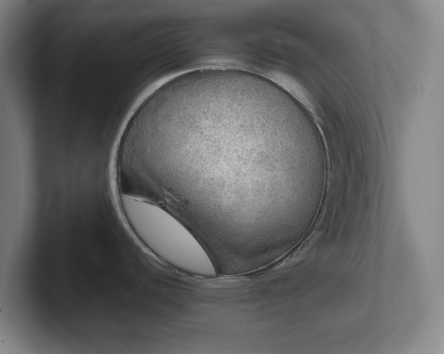 X0000102521440200808151523