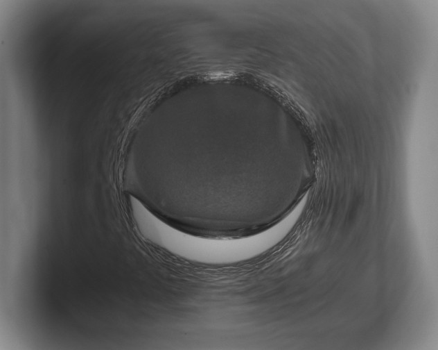 X0000102521441200808151522