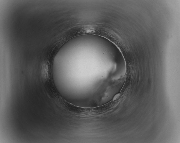 X0000102521442200808151522