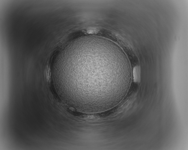 X0000102521443200808151522