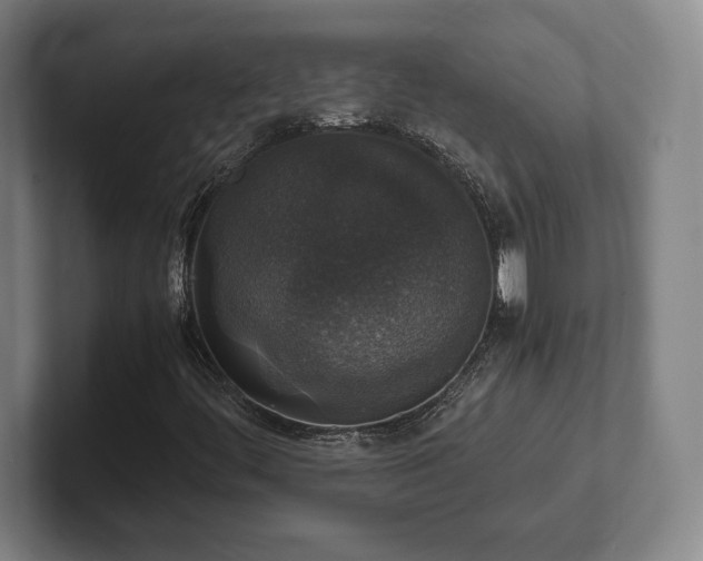 X0000102521444200808151522