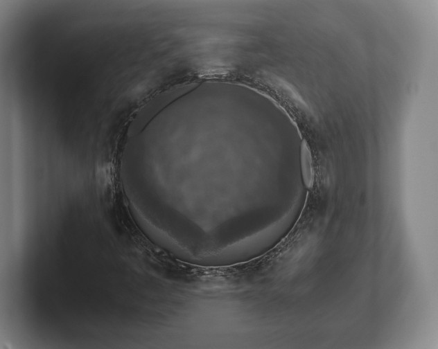 X0000102521445200808151522