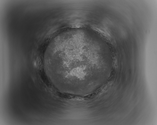 X0000102521446200808151522