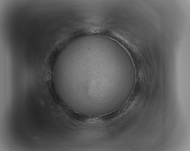 X0000102521447200808151522