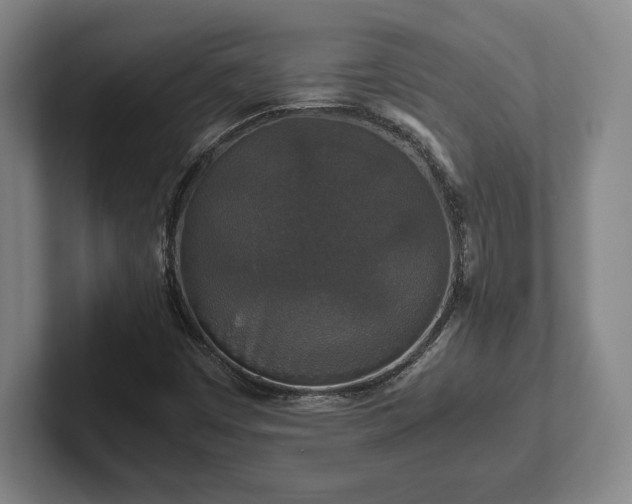 X0000102521449200808151522