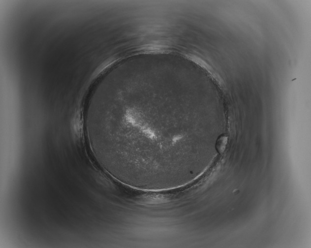 X0000102521450200808151522