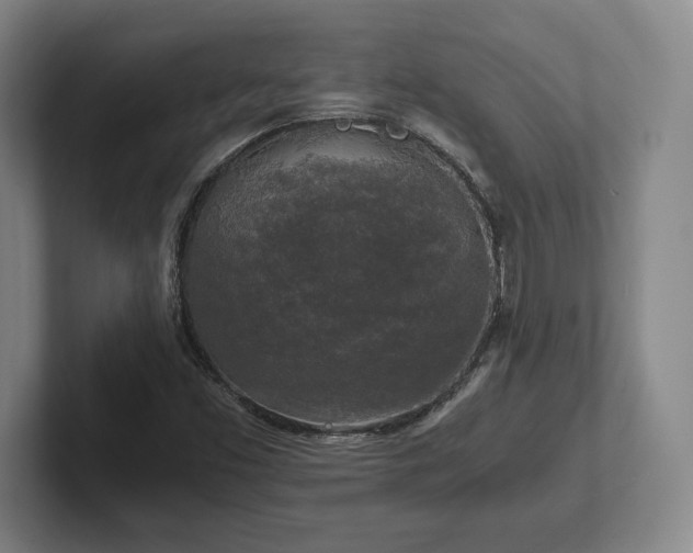 X0000102521453200808151522