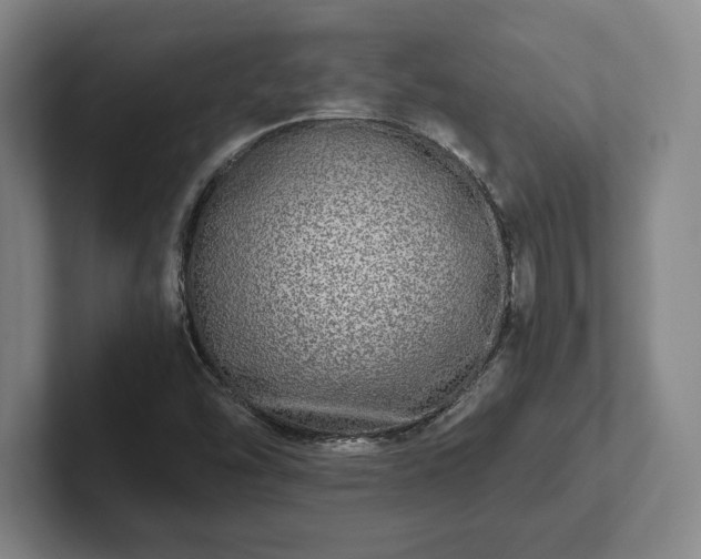 X0000102521454200808151522