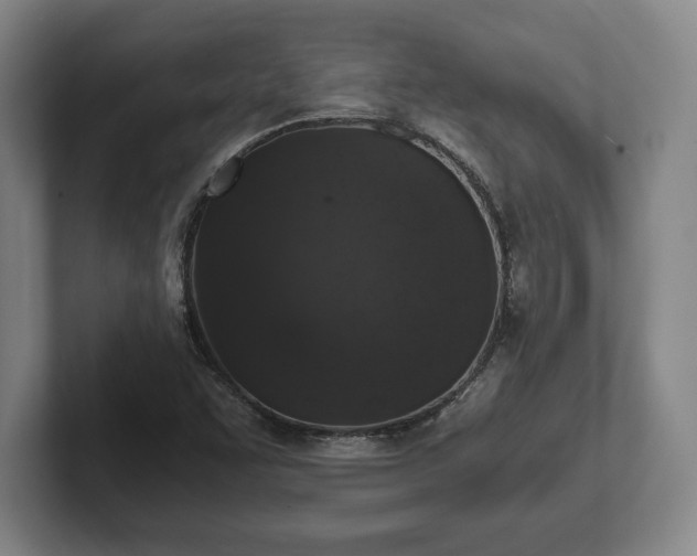 X0000102521455200808151522