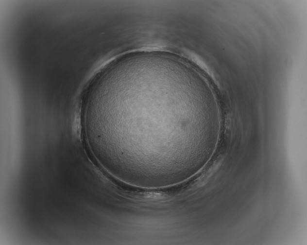 X0000102521456200808151522