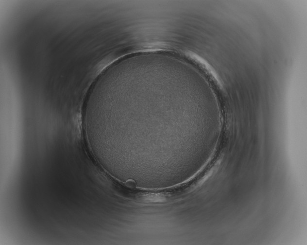 X0000102521457200808151522