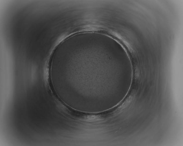 X0000102521459200808151522