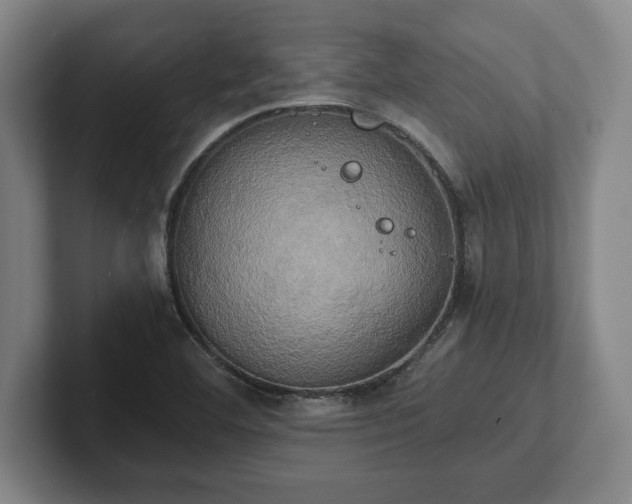 X0000102521460200808151522