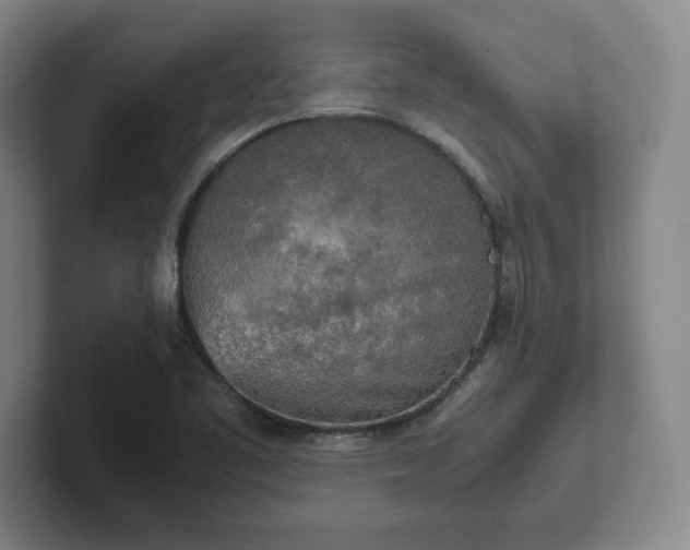 X0000102521461200808151522