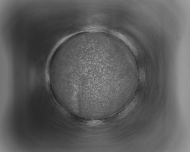 X0000102521462200808151522