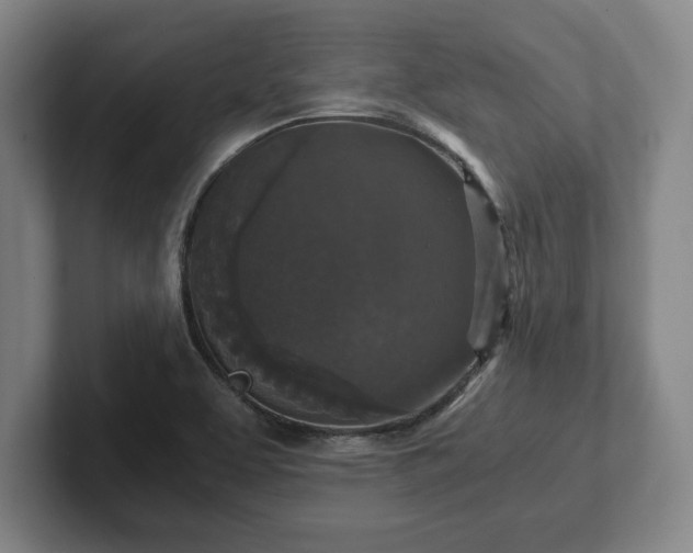 X0000102521463200808151522