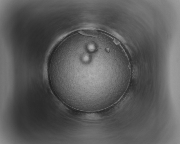 X0000102521464200808151522