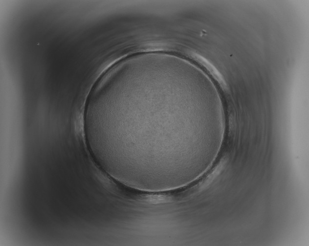 X0000102521465200808151522